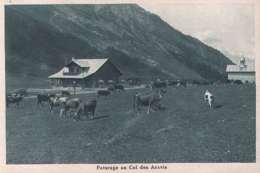 aravis-old-card