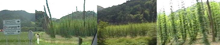to-slovenia