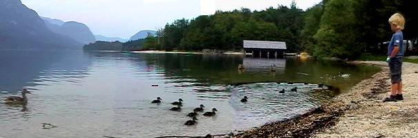 Bohinjsko-Jezero{qj