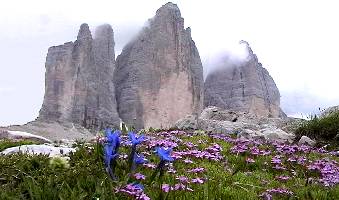 tre-cime