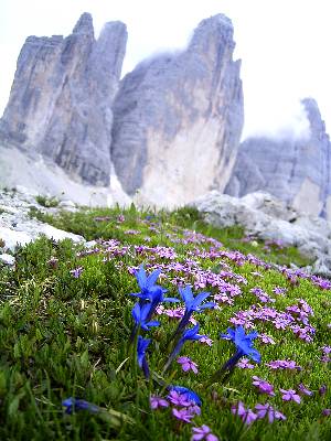 tre-cime