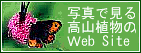 �ʐ^�Ō��鍂�R�A���̂g�o