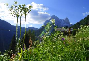 Zoppe di Cadore