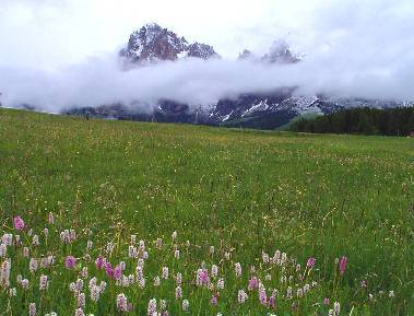 alpe-di-siusi