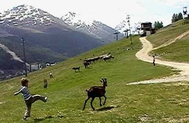 Livigno