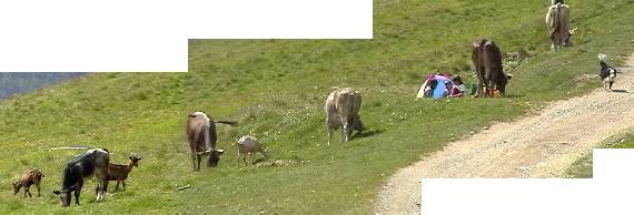 Livigno