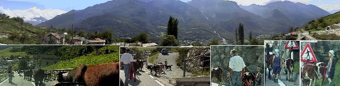 Col de St. Pantaleon