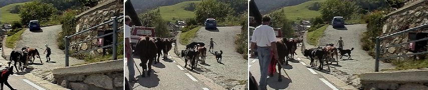 Col de St. Pantaleon