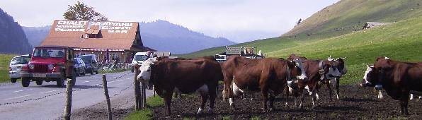 Col des Aravis