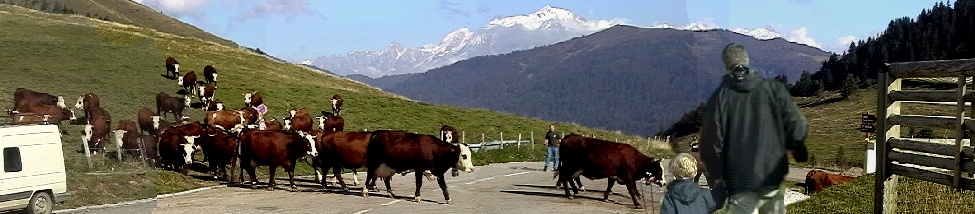 Col des Aravis