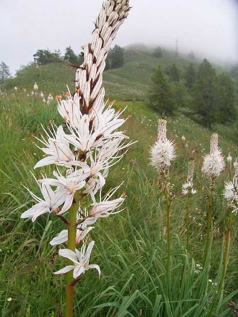 Colle di Sampeyre