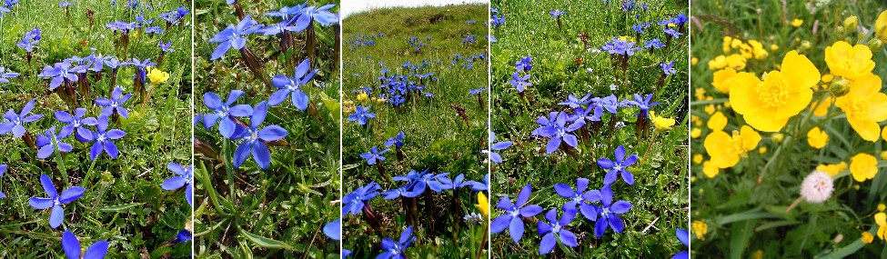 Colle di Sampeyre