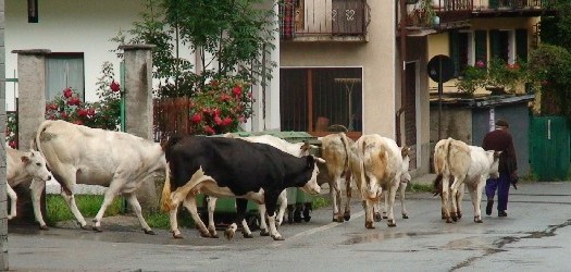 Bobbio-Pellice