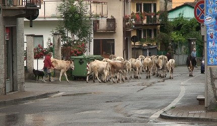 Bobbio-Pellice