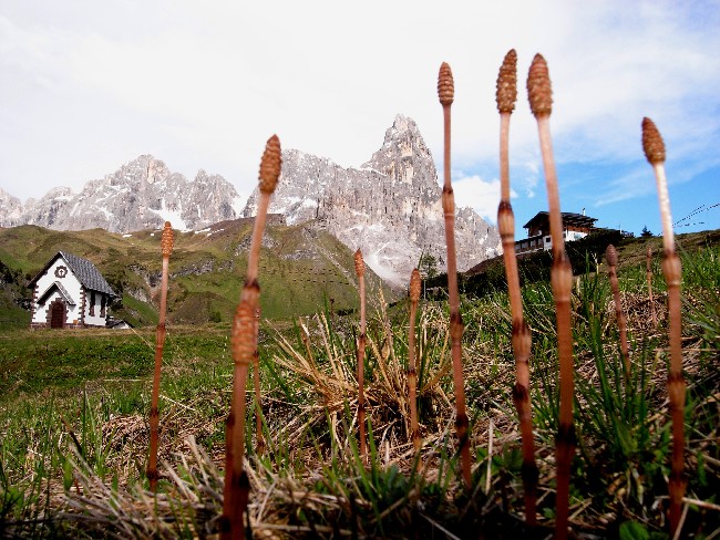 Passo di Rolle