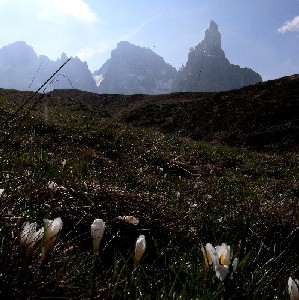 Passo Costazza/Baita Segantini