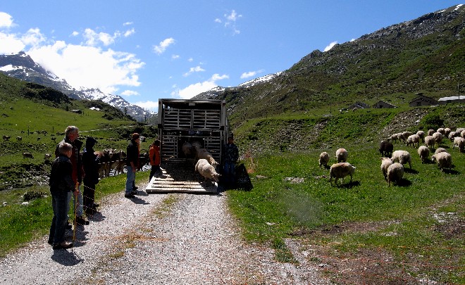 Madrisertal