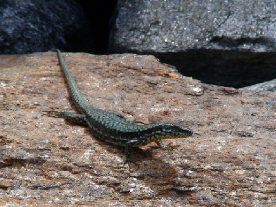 Val Verzasca