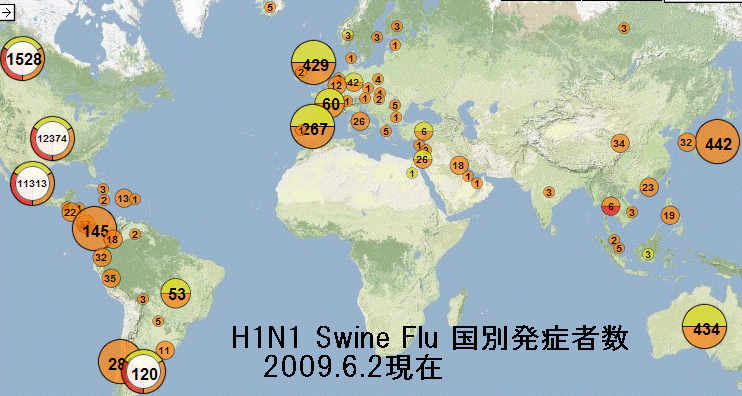 H1N1 Swine Flu2009.6.2
