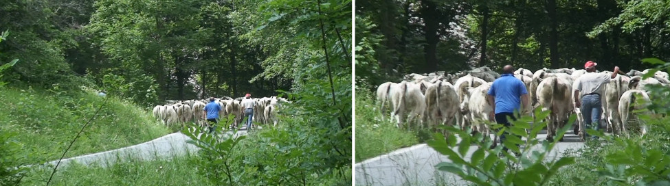Valle-Grande-Folchi