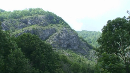 Valle-Grande-Folchi
