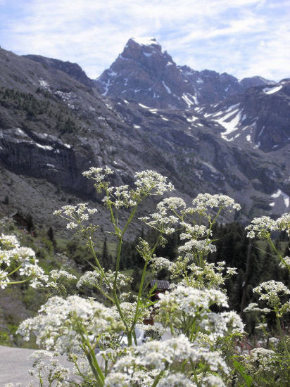 Ubaye