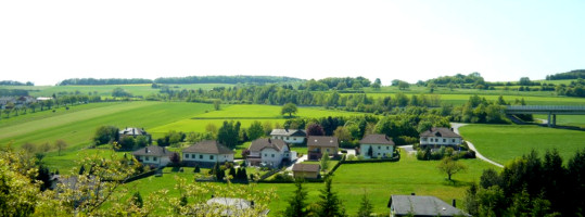 5622riegel-net3.jpg