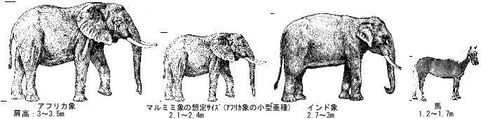 ３種の象と馬の大きさ
