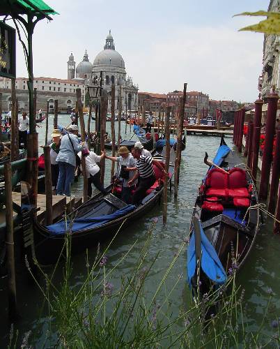 venezia