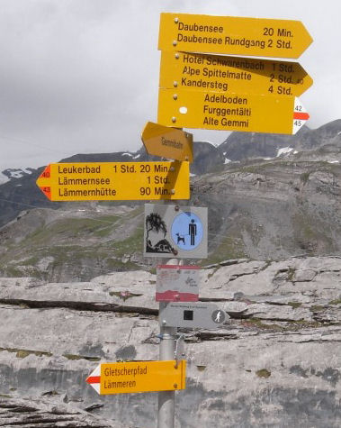 Gemmipass